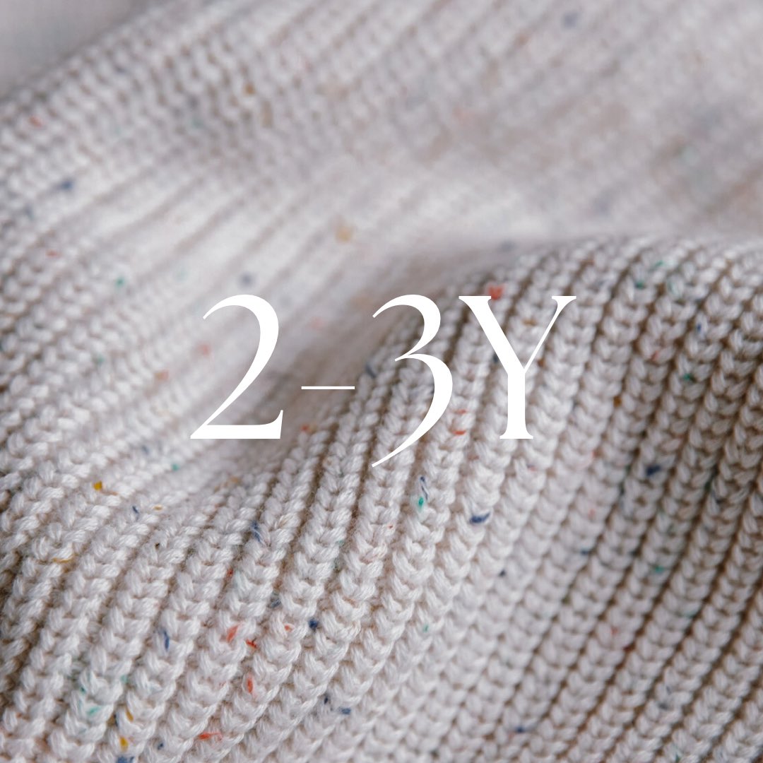 2-3Y