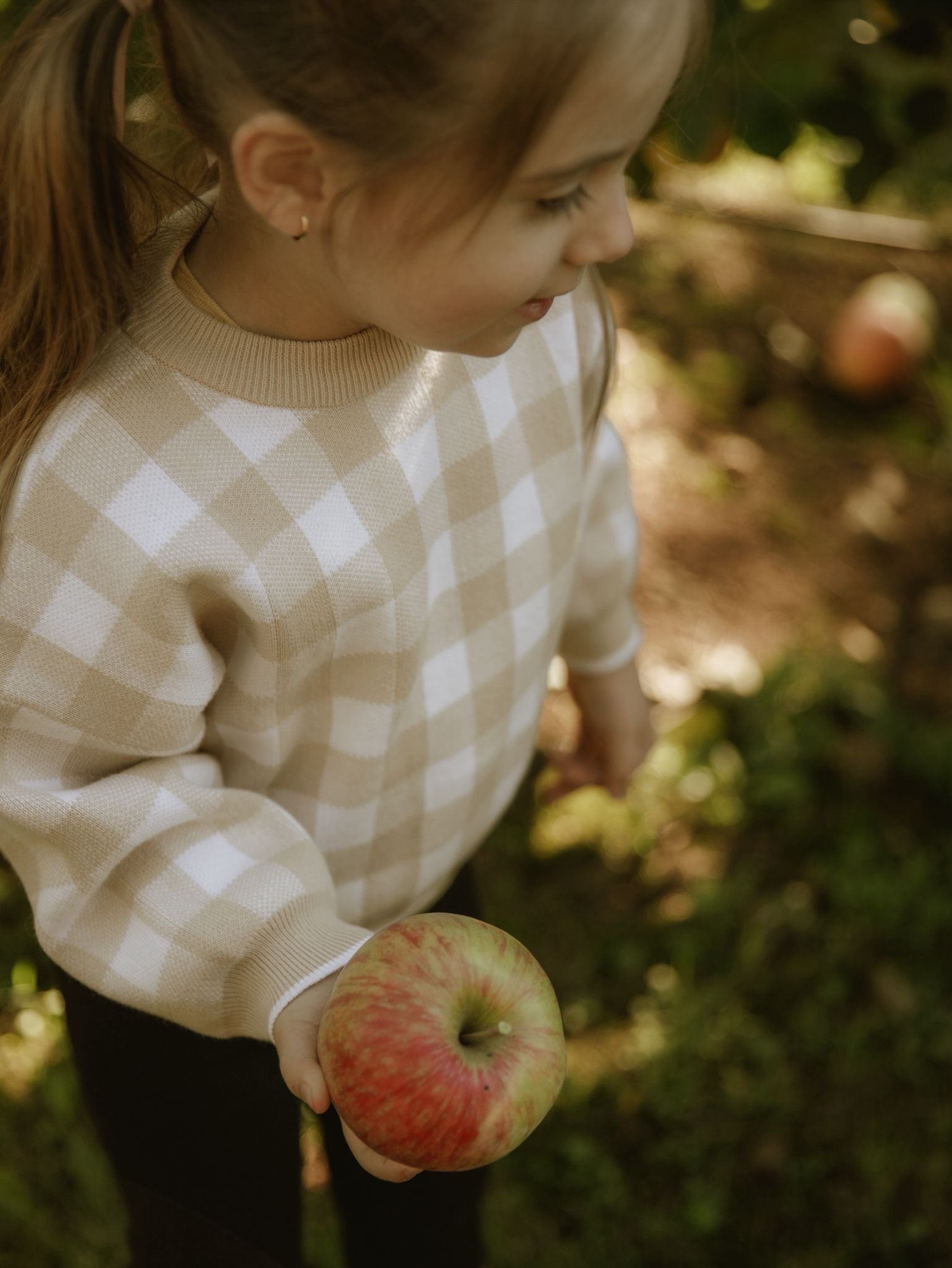 Heritage Gingham Sweater