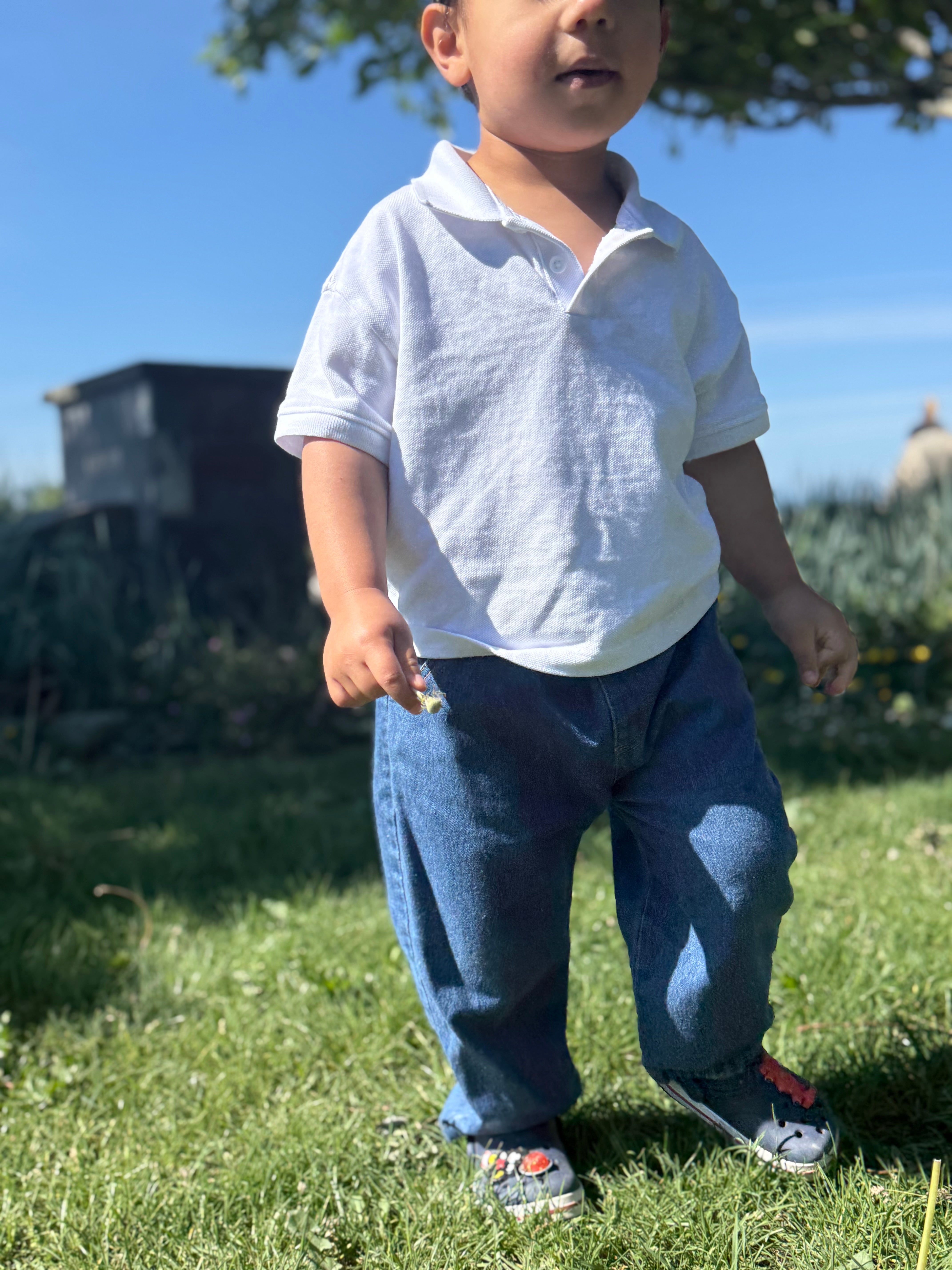 Child wearing a white shirt and blue jeans standing on grass with a blurred background